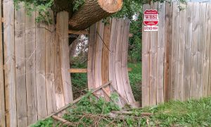 The image shows a large fallen tree branch that has damaged a wooden fence. Parts of the fence panels are broken and lying on the ground, and the "WISH" sign is partially visible above the fence.