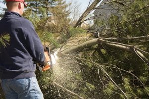 A person cutting a fallen tree with a chainsaw, sawdust flying around.